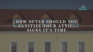 When to Sanitize Your Attic: Key Warning Signs