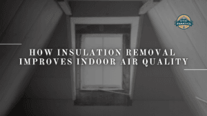 How Insulation Removal Improves Air Quality