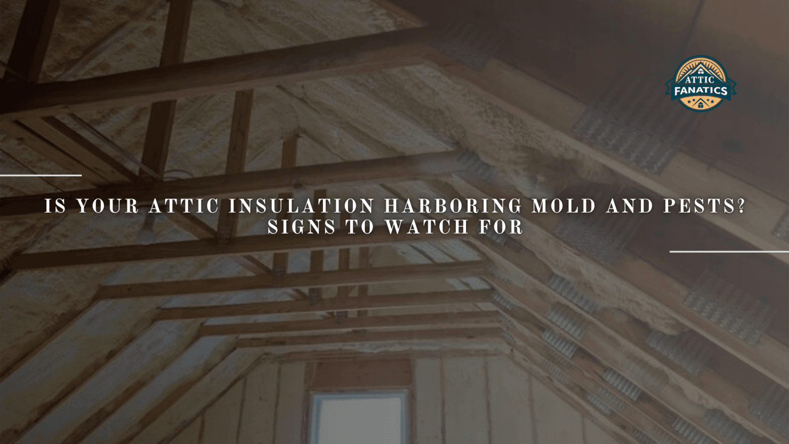 Is Your Attic Insulation Harboring Mold and Pests? Signs to Watch For