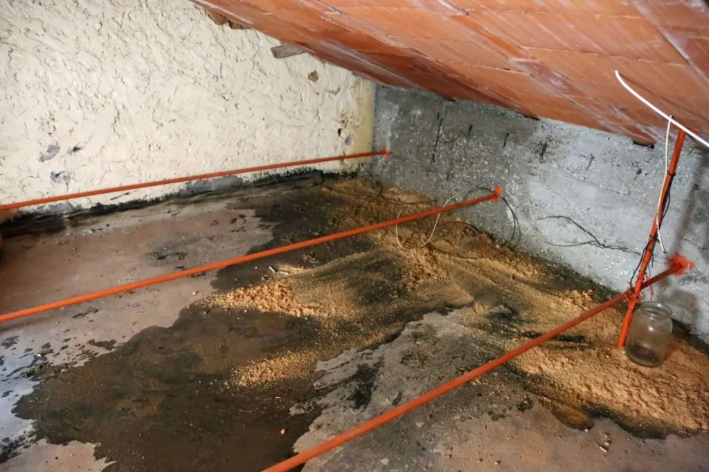 Expert diagnosing humidity-damaged attic insulation.