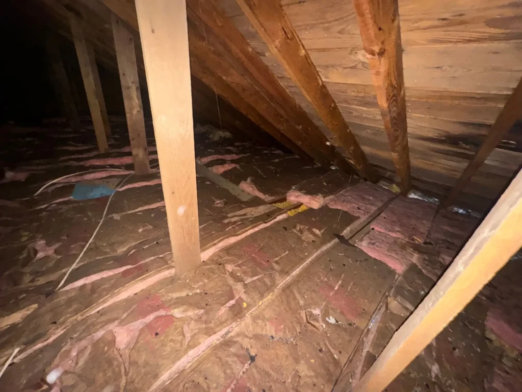 Attic with insulation and vents showing airflow pathways.