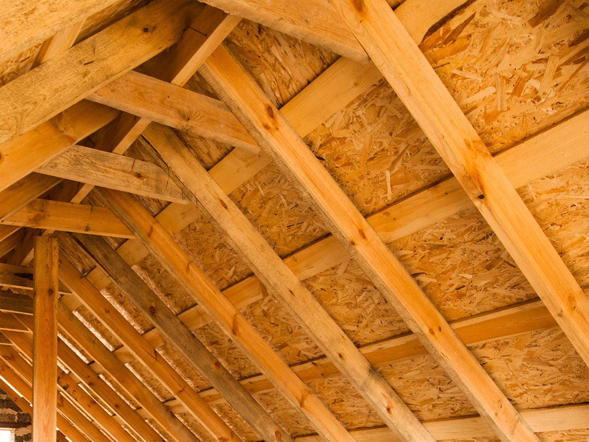 Inspecting an attic for leaks and insulation gaps. 