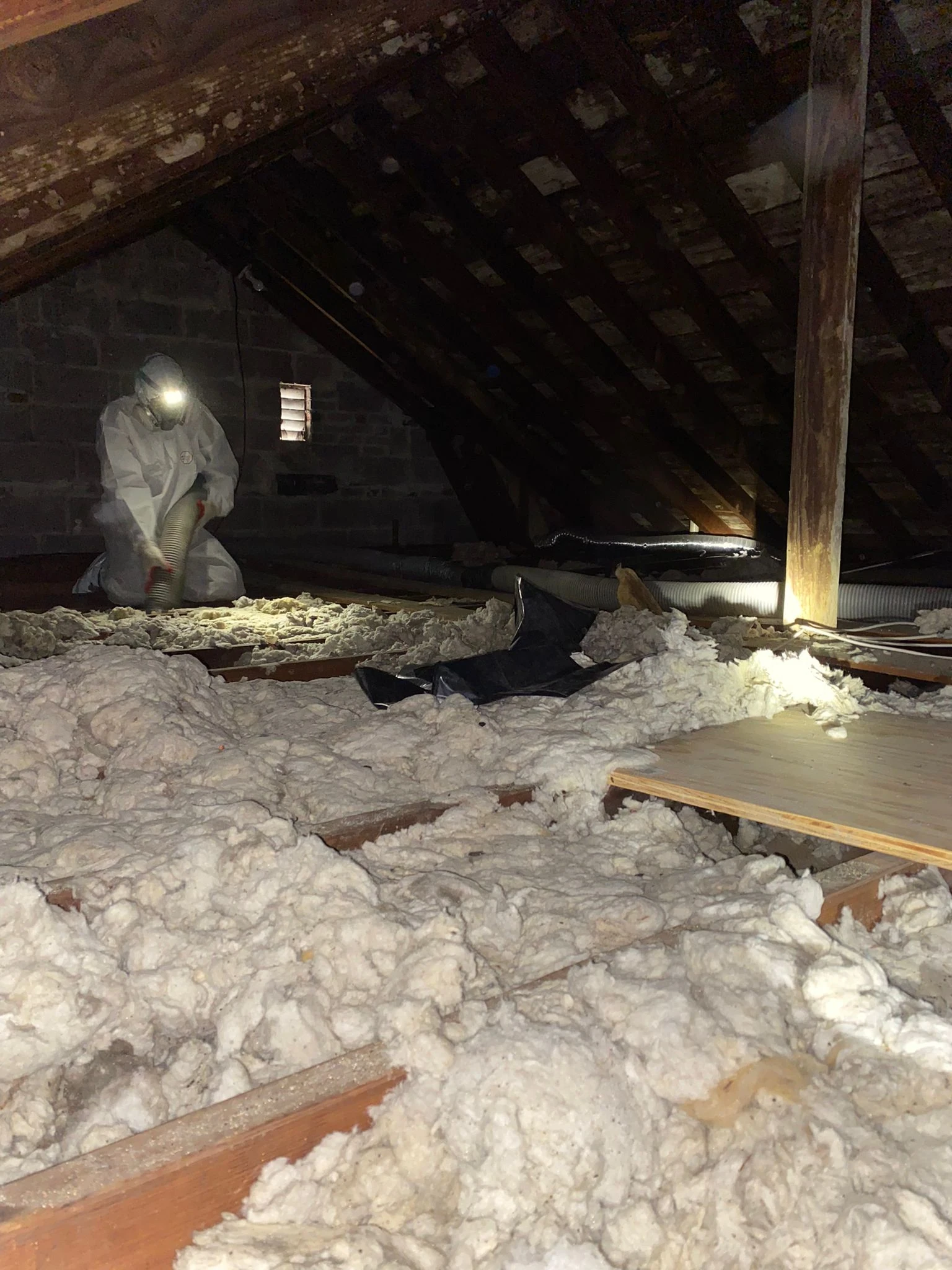Worker removing old attic insulation during cleanup to improve air quality.