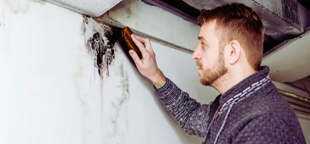 Black mold growth visible inside a home air vent.