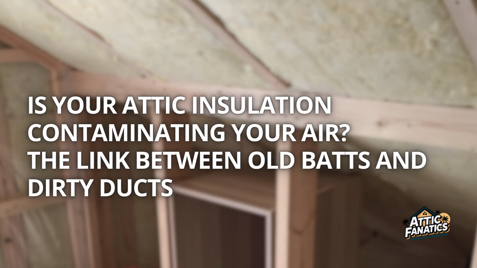 Insolution Link Is Your Attic Insulation Contaminating Your Air? The Link Between Old ...