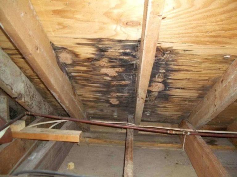 Mold and water damage on attic roof decking caused by a roof leak.