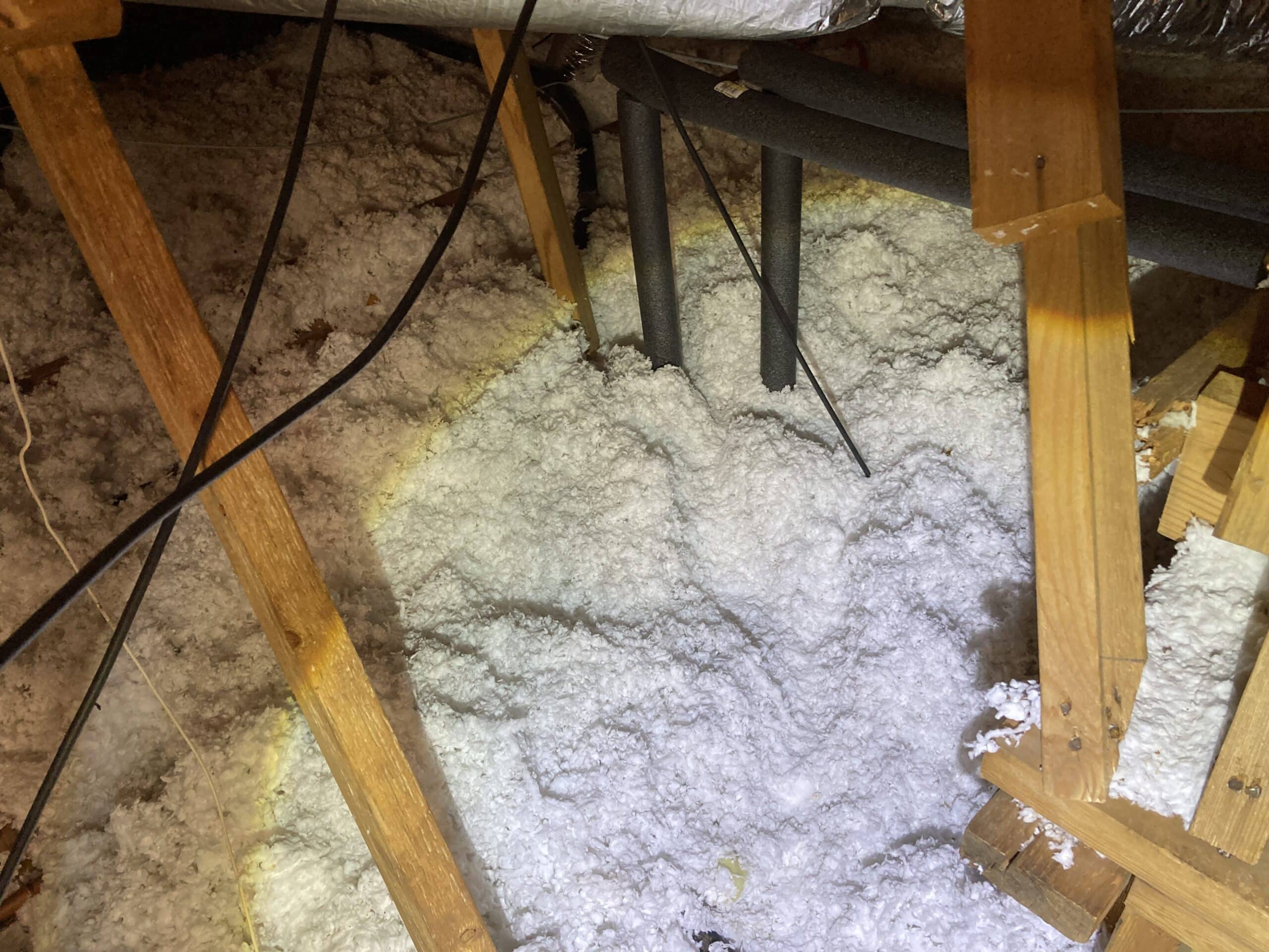 Blown-in attic insulation disturbed and contaminated by rodent activity.