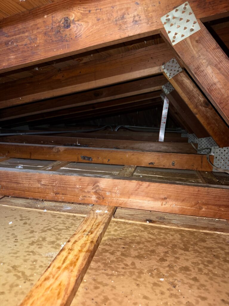 old insulation remove and blow in R30