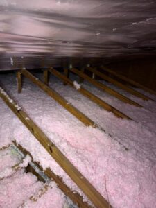 attic insulation for lauderdale