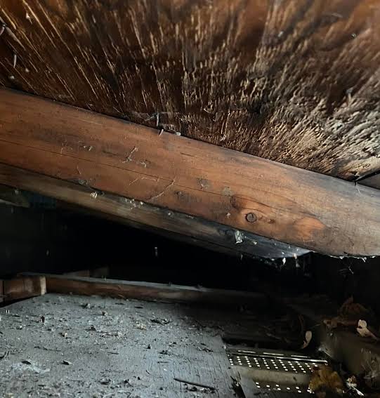 Moisture-damaged attic roof decking with dark stains and wood deterioration