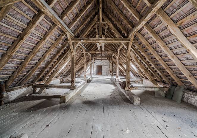 Wildlife removal expert inspecting an attic for animal activity.