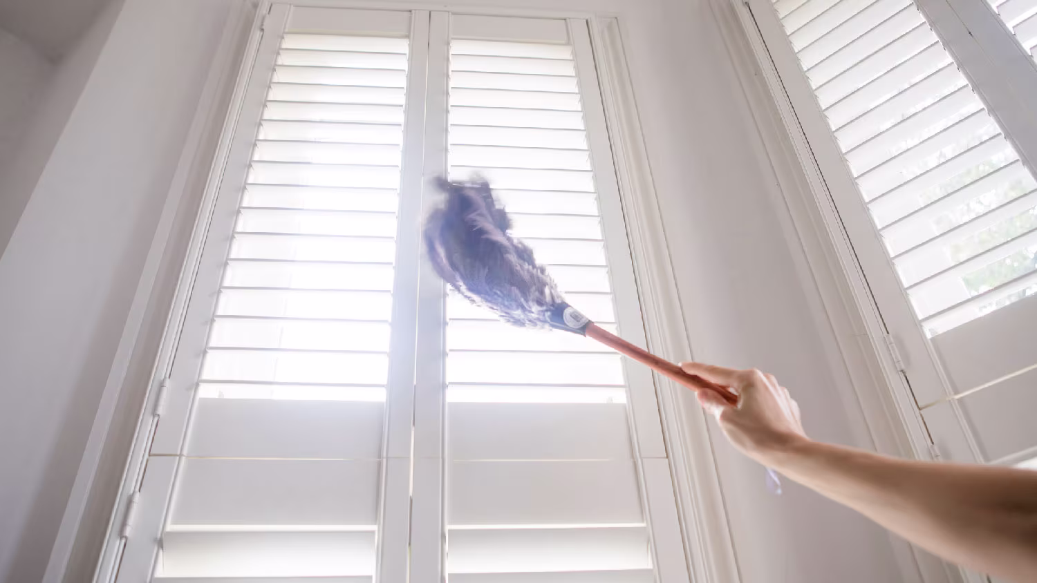 Person dusting window blinds with a feather duster.